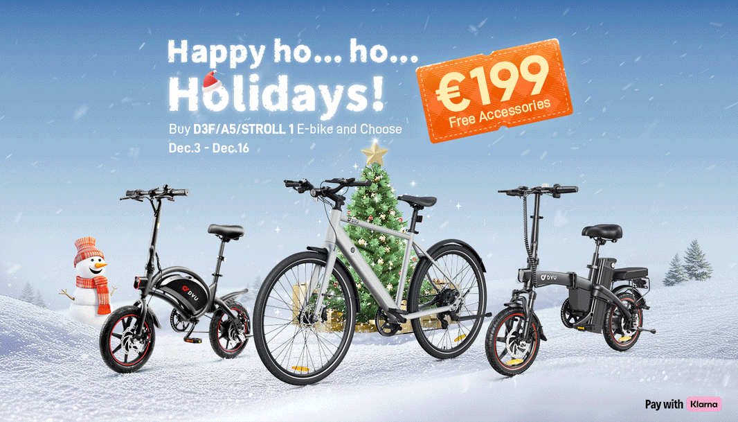 DYUSoldes de Noël