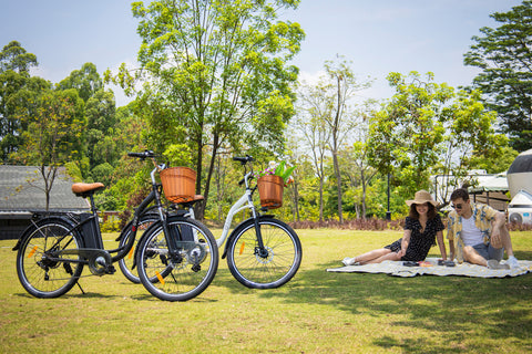 Vélos électriques DYUcycle C6 et A1F au parc, parfaits pour le confort en France. Vélos électriques DYUcycle C6 et A1F au parc, parfaits pour le confort en France.