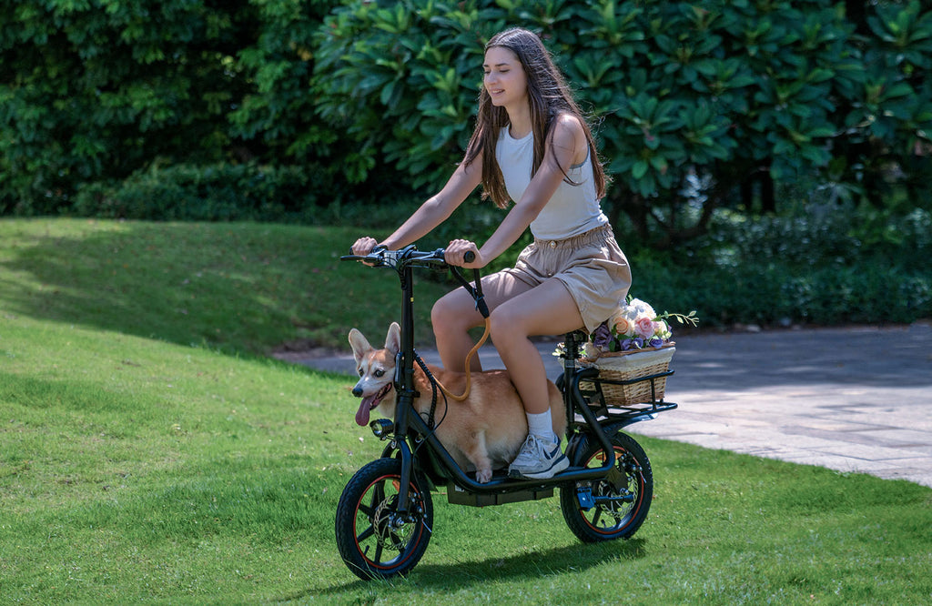 Femme sur DYU C4 noir avec panier, corgi assis dedans, dans un parc verdoyant.