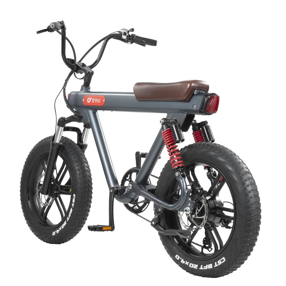 DYU V8 20 Inch 48V 750W 45KM/H 15.5AH Electric Bike