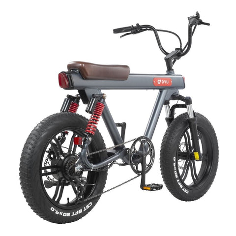 DYU V8 20 Inch 48V 750W 45KM/H 15.5AH Electric Bike