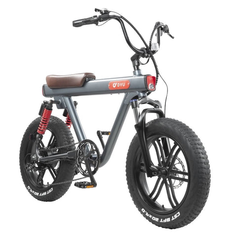 DYU V8 20 Inch 48V 750W 45KM/H 15.5AH Electric Bike