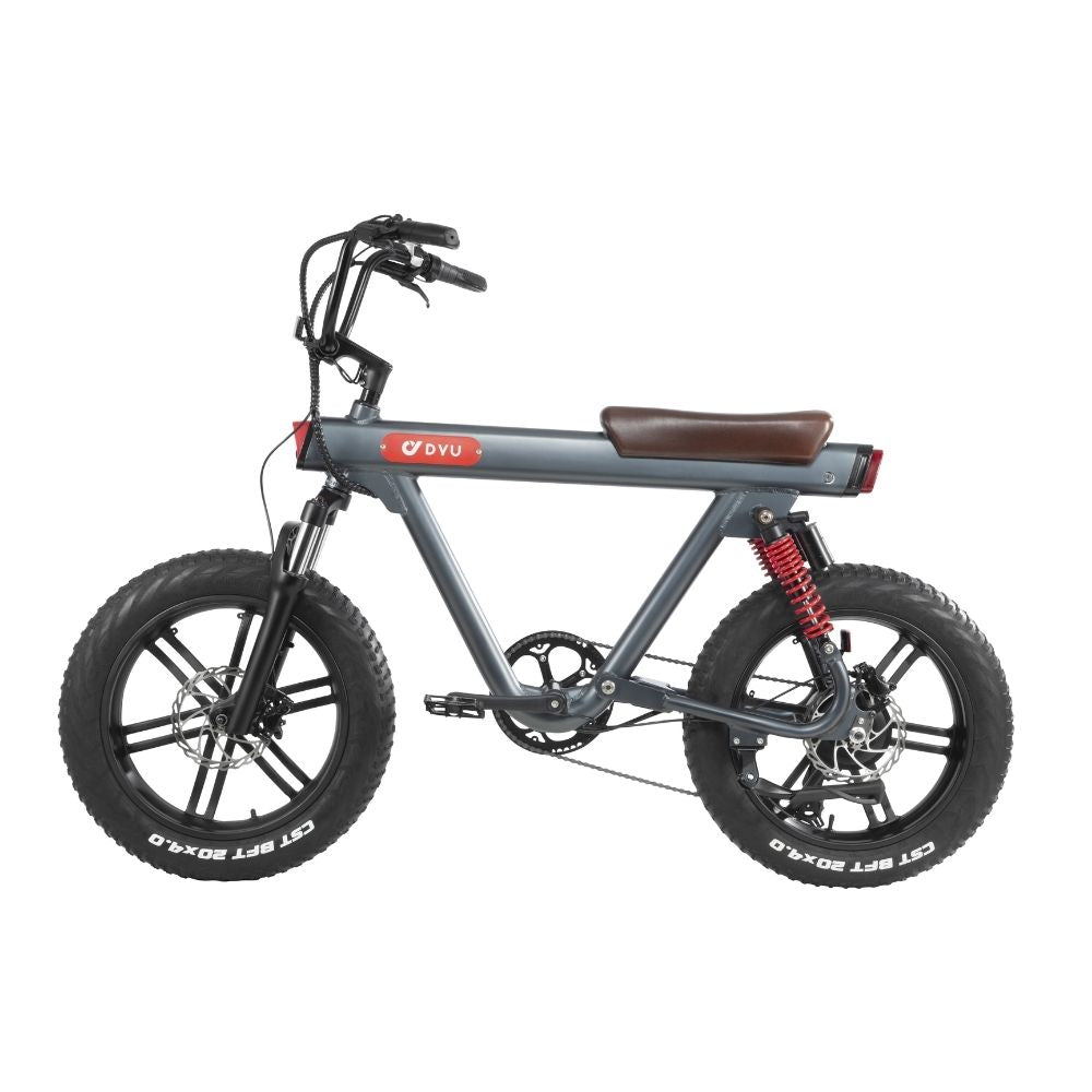 DYU V8 20 Inch 48V 750W 45KM/H 15.5AH Electric Bike